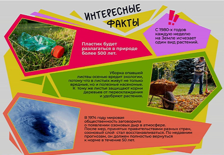 ПроеКТОрия на тему "Экология и природопользование".